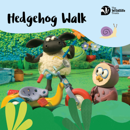 Hedgehog Walk Timmy Time square social graphic